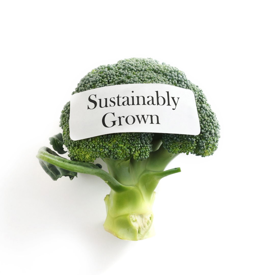 Sustainability doesn’t have to be complicated