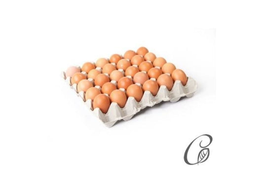 Egg Tray (Free Range Medium) Fresh Eggs