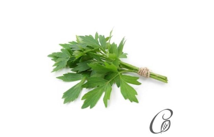 Lovage bunch