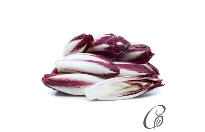 Red Chicory